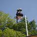 Matt Voelker Photo 12
