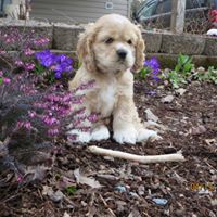 Rhonda Ayres Photo 3