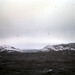 John Newell Photo 19