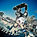 Dennis Mccoy Photo 15