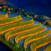 Kui Lin Photo 11
