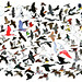 Jane Bird Photo 3