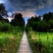 Jim Summers Photo 6