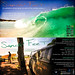 Sandy Rae Photo 5
