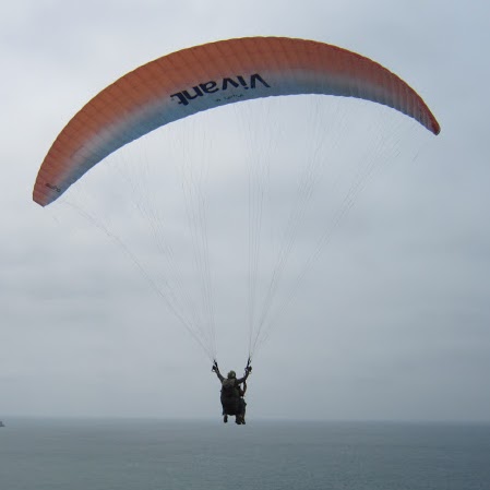 Shari Sauer Photo 9