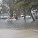 Gary Flood Photo 13