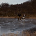 Jan Aune Photo 9