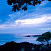 Dawn Fix Photo 7