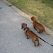 Jack Friend Photo 6