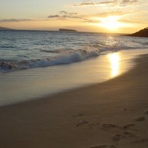 Dawn Fiori Photo 7