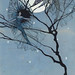 Elizabeth Watts Photo 19