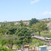Rosa Estrada Photo 6
