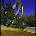 Teddy Steen Photo 5