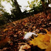 Michael Halsall Photo 9
