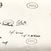 Kathleen Armstrong Photo 15