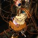 Christopher Wein Photo 8
