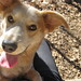 Colleen Shier Photo 9