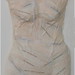 Elaine Stone Photo 14