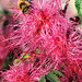 Bee Smith Photo 11