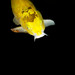 Michael Coy Photo 14
