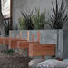 Jeremy Grey Photo 5