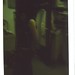 Stephanie Woodbury Photo 4