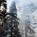 Sequoia Ray Photo 6