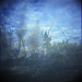 Eura Walker Photo 3