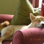 Karen Casey Photo 28