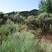 John Haigler Photo 8