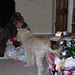 Megan Yantis Photo 6