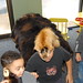 Matthew Pelt Photo 9