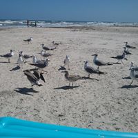 Cindy Culbreath Photo 4