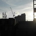 Truman Crane Photo 8