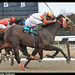 Sheldon Russell Photo 12