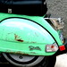 Stella Green Photo 9