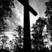 Anne Crosser Photo 4