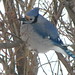 Jay Myhre Photo 2