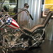Dennis Davidson Photo 14