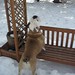 Louie Patrick Photo 3