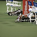 Robin Legg Photo 7
