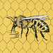 Bee Smith Photo 10