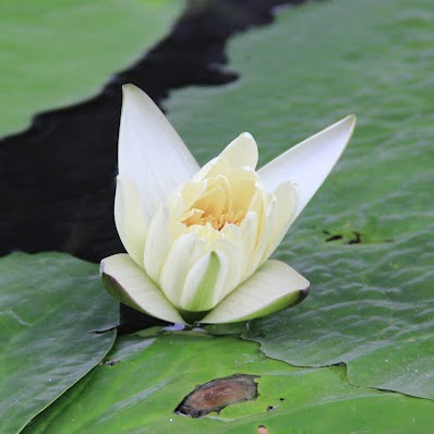 Kun Jiang Photo 23