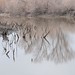 Pat Crain Photo 9