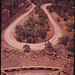 Rowena Hill Photo 7