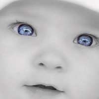Muhammad Faizi Photo 9