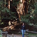 Marisa Woods Photo 8