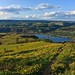 Rowena Sharp Photo 6