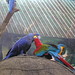 Jennifer Joye Photo 6