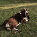 Olivia Plummer Photo 4